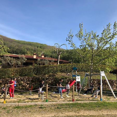 Apartamentos Rurales La Vega Del Jerte Zewnętrze zdjęcie